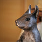 Rueben the Exmoor Red Squirrel Sculpture